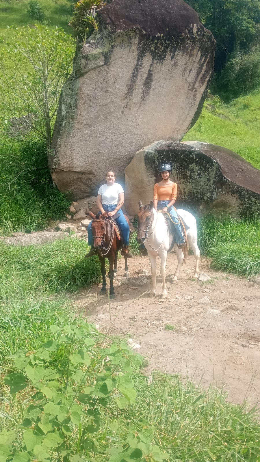 Grupo de amigos comemorando o passeio a cavalo